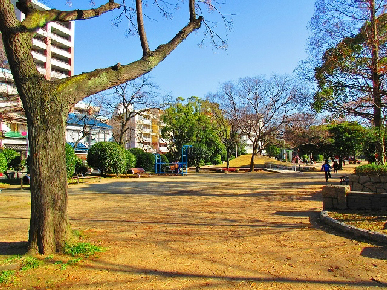 FDS WILL KOHAMA 住吉公園