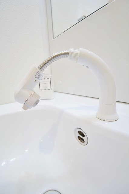 FDS BIJOU SUITESⅡ 洗面所