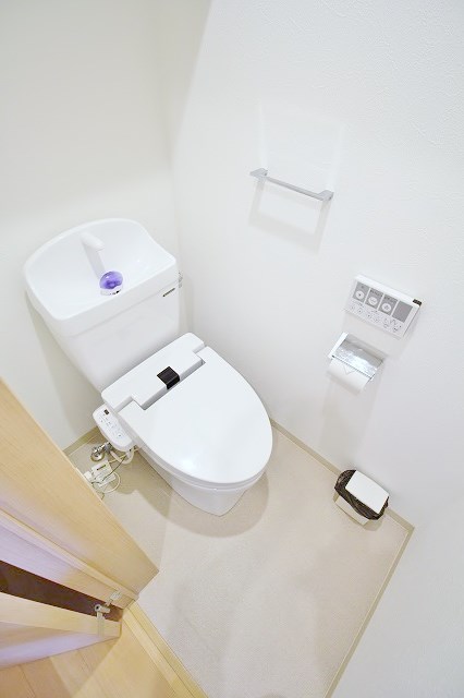 FDS BIJOU SUITESⅡ トイレ