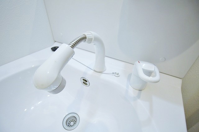 オルフェアメゾン清水丘壱番館 シャンプードレッサー