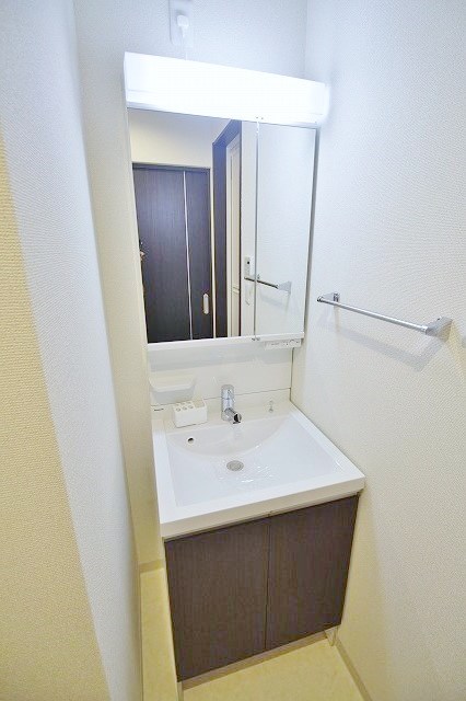 フジパレス沢ノ町Ⅱ番館 シャンプードレッサー