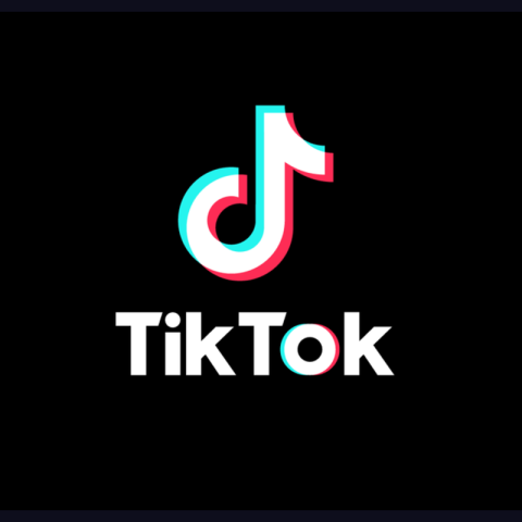TikTokを始めました。